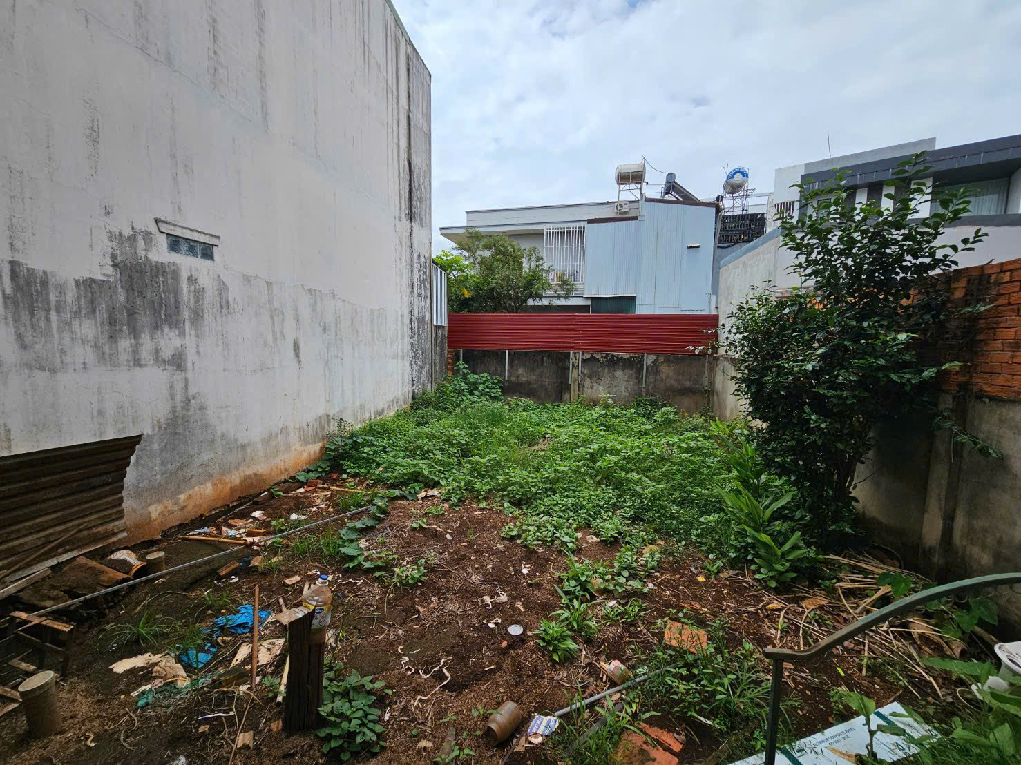 vườn phía sau nhà tô hiệu trồng rau xanh thoáng mát