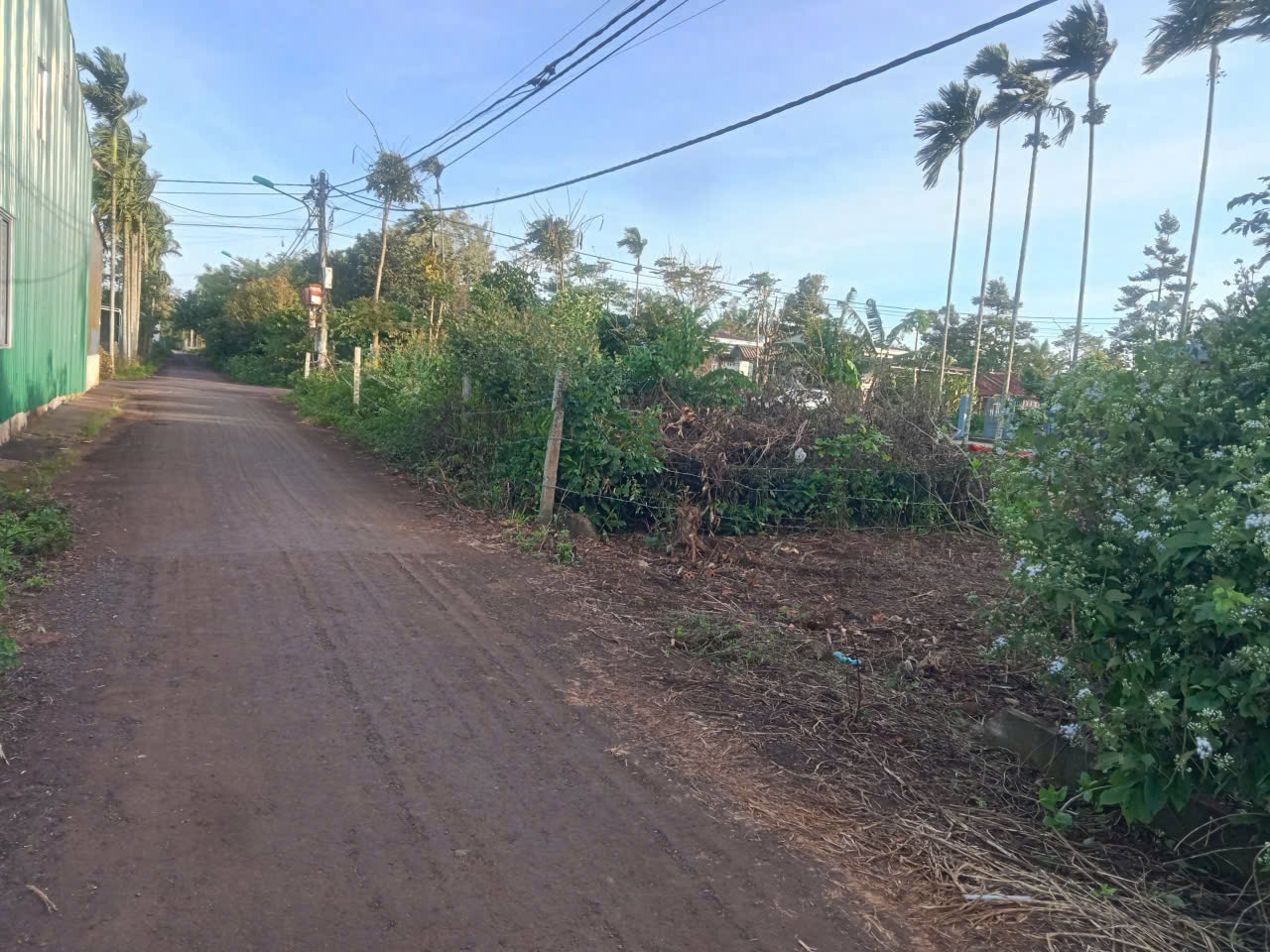 đường n10 nhựa thông bàn cờ trước lô đất thổ cư bán tại Buôn ko Tam, BMT