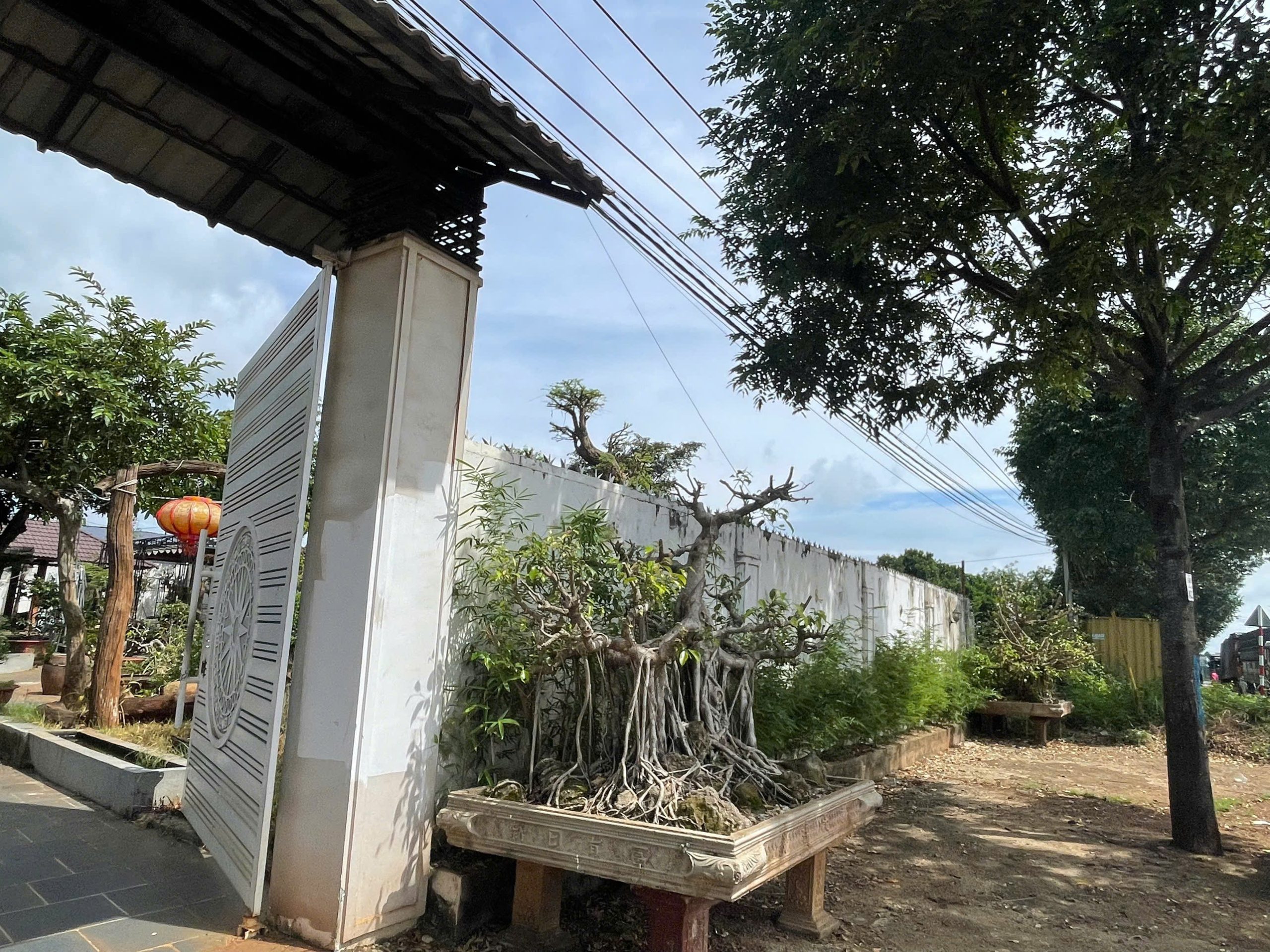 Bán đất mặt tiền Vành Đai 10/3 gần GO Buôn Ma Thuột diện tích 21x96m