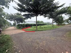 đất hẻm 44 triệu quan phục