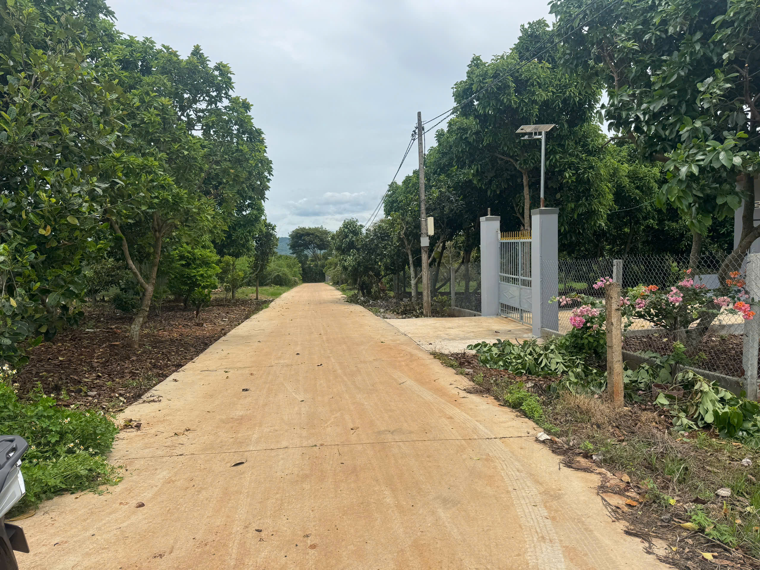 đất hẻm đỗ xuân hợp bmt nối dài