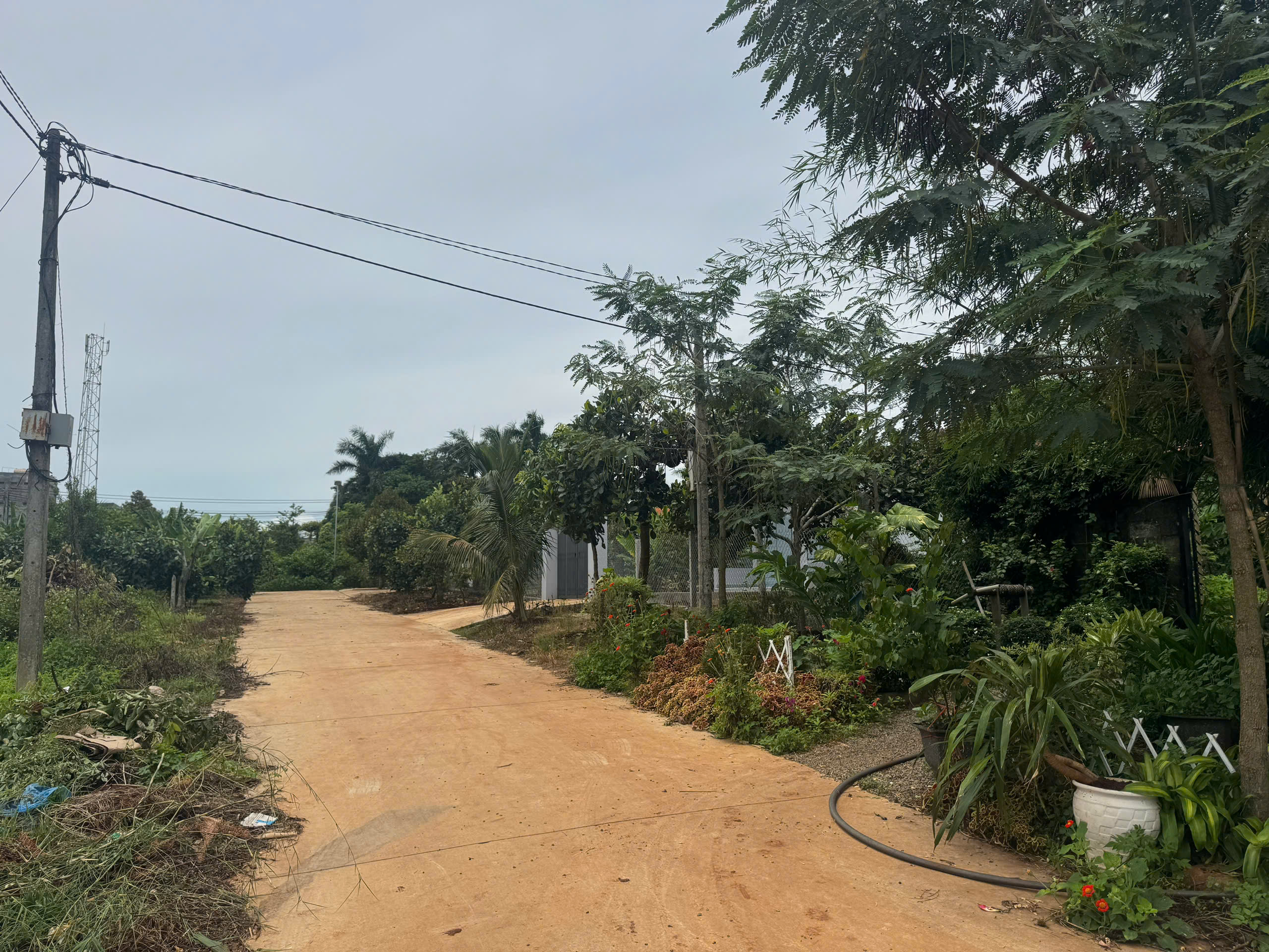 đất hẻm đỗ xuân hợp buôn ma thuột nối dài