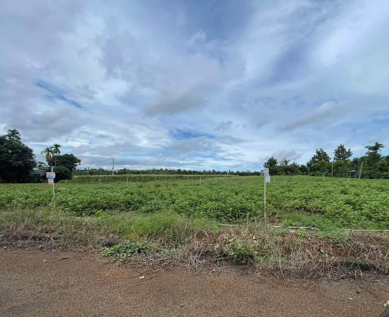 Đất thổ cư hẻm Phan Huy Chú Thành Nhất Đắk Lắk