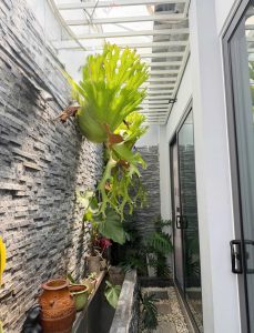 nhà tô hiến thành bmt
