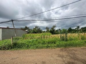 Lô đất bằng phẳng có 60m² thổ cư tại Cuôr Đăng
