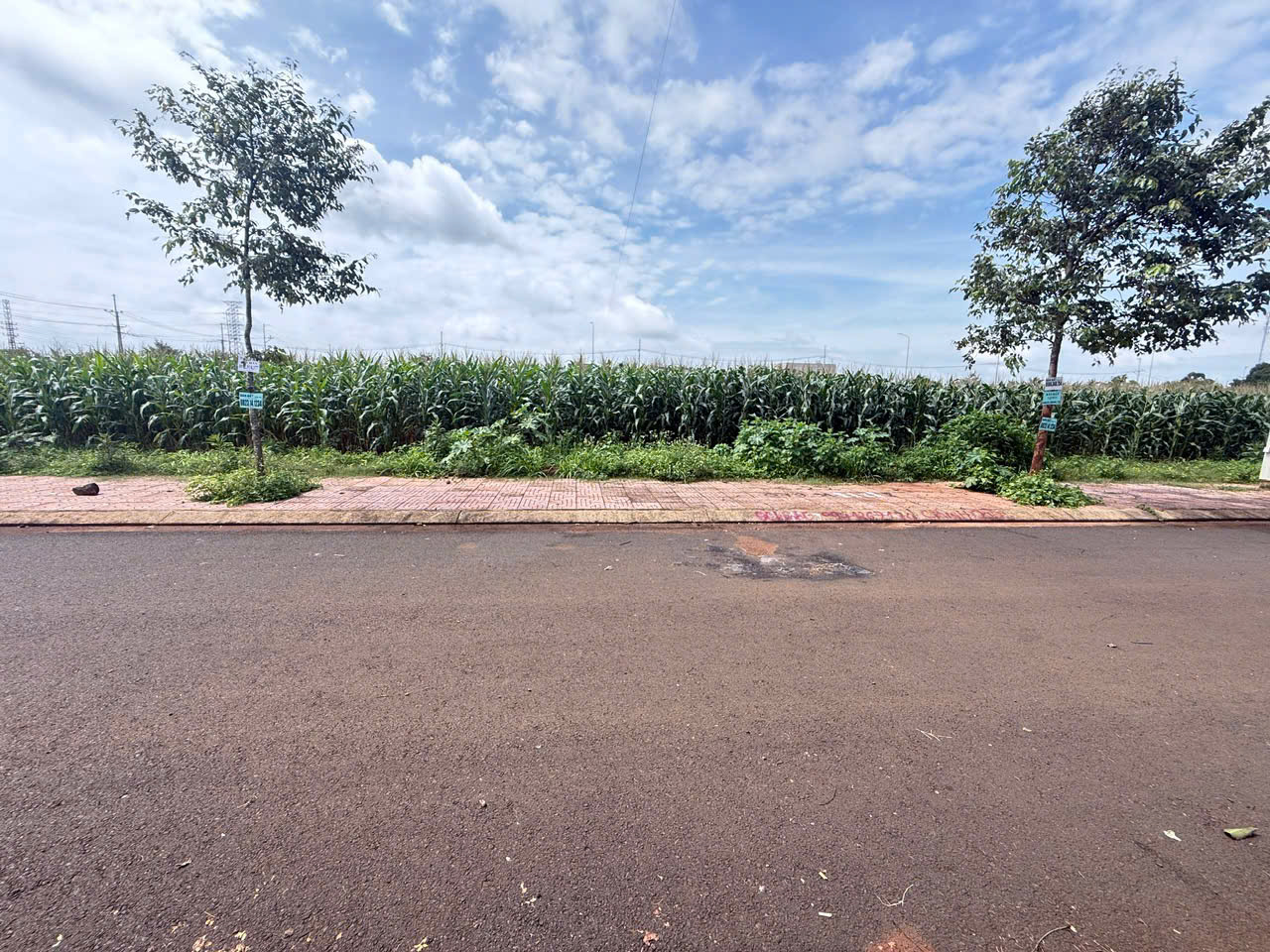 Đất TDP12 phường Tân An đối diện hoa viên diện tích 6x22m