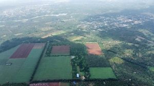 Farm sầu riêng 23ha Đạt Lý Đắk Lắk